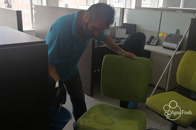 Lavado de Alfombras